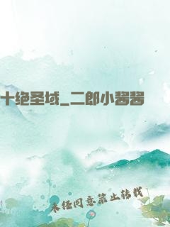 十绝圣域