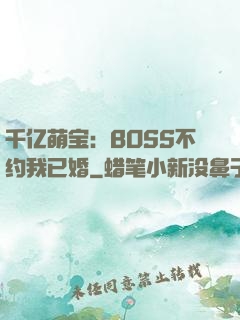 千亿萌宝：BOSS不约我已婚