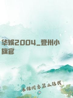 华娱2004