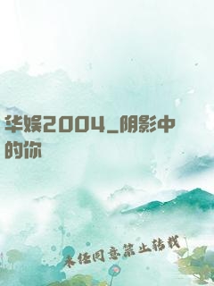 华娱2004