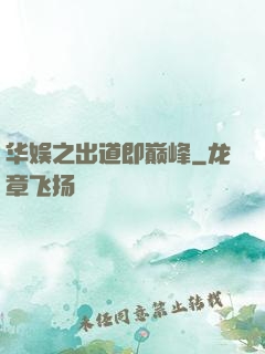 华娱之出道即巅峰