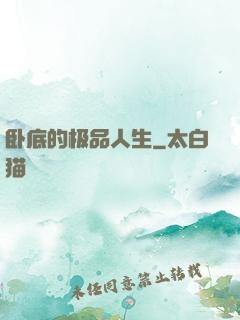 卧底的极品人生