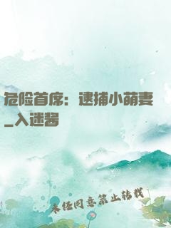 危险首席：逮捕小萌妻