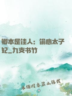 卿本是佳人：偷心太子妃