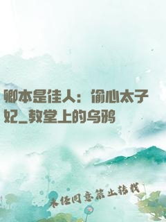 卿本是佳人：偷心太子妃