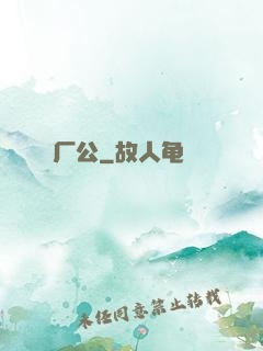 厂公