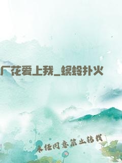 厂花爱上我