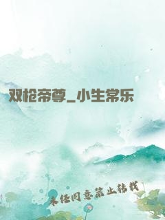 双枪帝尊