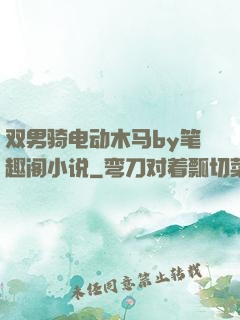 双男骑电动木马by笔趣阁小说