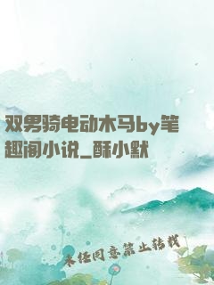 双男骑电动木马by笔趣阁小说