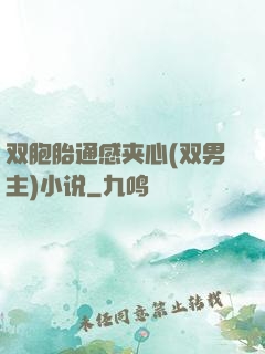 双胞胎通感夹心(双男主)小说