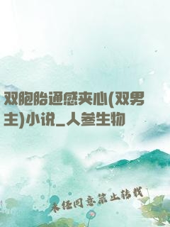 双胞胎通感夹心(双男主)小说