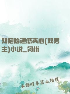 双胞胎通感夹心(双男主)小说
