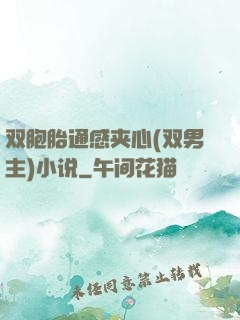 双胞胎通感夹心(双男主)小说