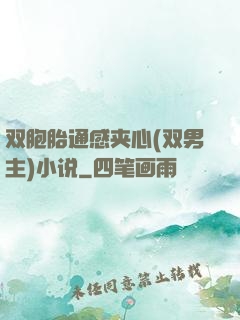 双胞胎通感夹心(双男主)小说