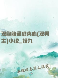 双胞胎通感夹心(双男主)小说