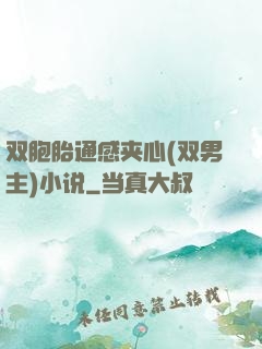 双胞胎通感夹心(双男主)小说