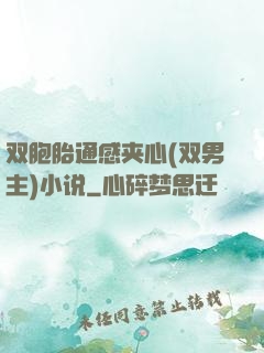 双胞胎通感夹心(双男主)小说