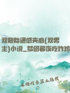 双胞胎通感夹心(双男主)小说