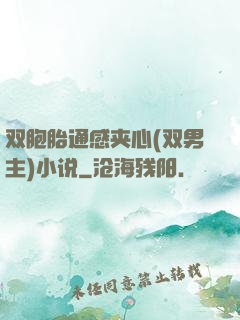 双胞胎通感夹心(双男主)小说