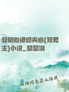 双胞胎通感夹心(双男主)小说
