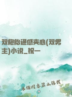 双胞胎通感夹心(双男主)小说