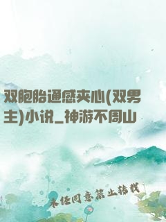双胞胎通感夹心(双男主)小说
