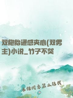 双胞胎通感夹心(双男主)小说