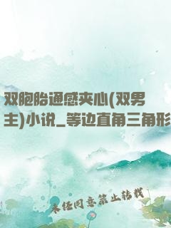 双胞胎通感夹心(双男主)小说