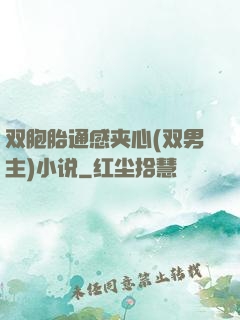 双胞胎通感夹心(双男主)小说