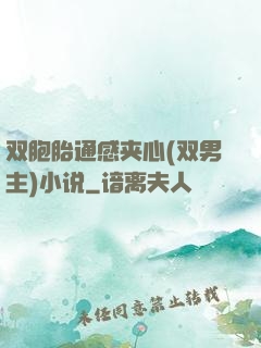 双胞胎通感夹心(双男主)小说