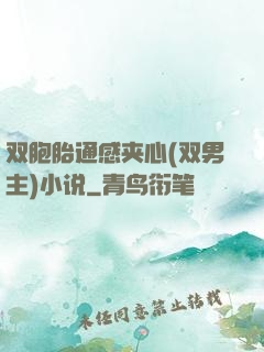 双胞胎通感夹心(双男主)小说