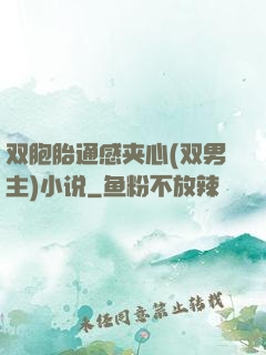 双胞胎通感夹心(双男主)小说