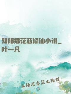双阳插花芯修仙小说