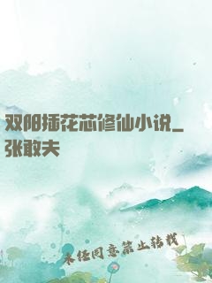 双阳插花芯修仙小说