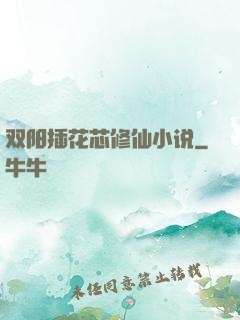 双阳插花芯修仙小说