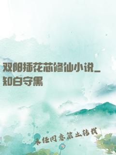 双阳插花芯修仙小说