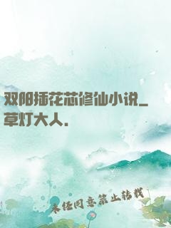 双阳插花芯修仙小说