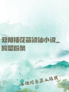 双阳插花芯修仙小说