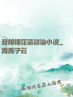 双阳插花芯修仙小说