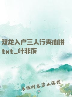 双龙入户三人行夹心饼txt