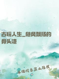 古玩人生