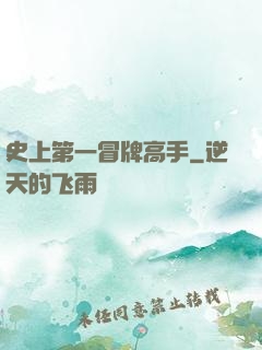 史上第一冒牌高手