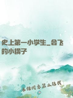 史上第一小学生