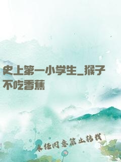 史上第一小学生