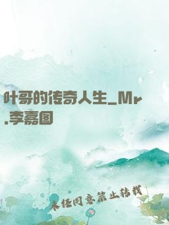 叶哥的传奇人生