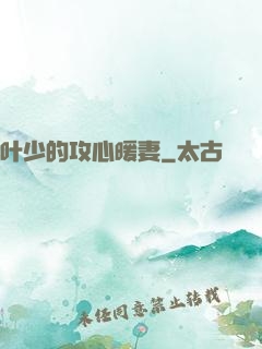 叶少的攻心暖妻
