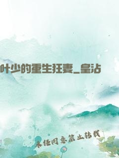 叶少的重生狂妻