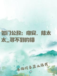 名门公敌：吻安，陆太太