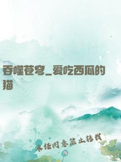 吞噬苍穹
